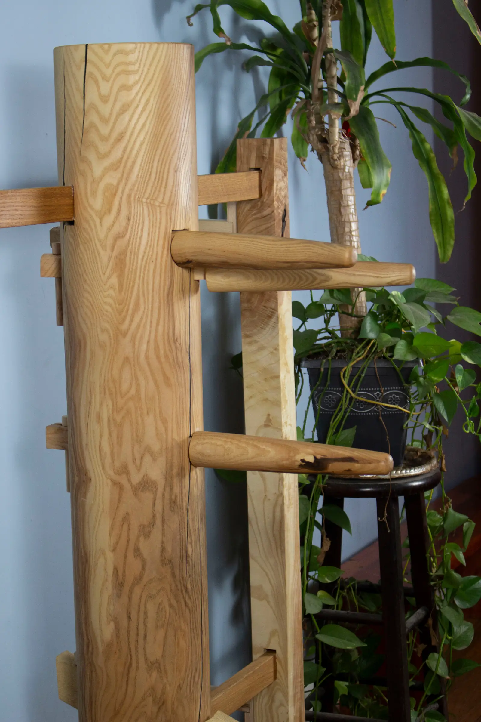 Detail of the jong's ash body and oak frame, hand-finished with tung oil